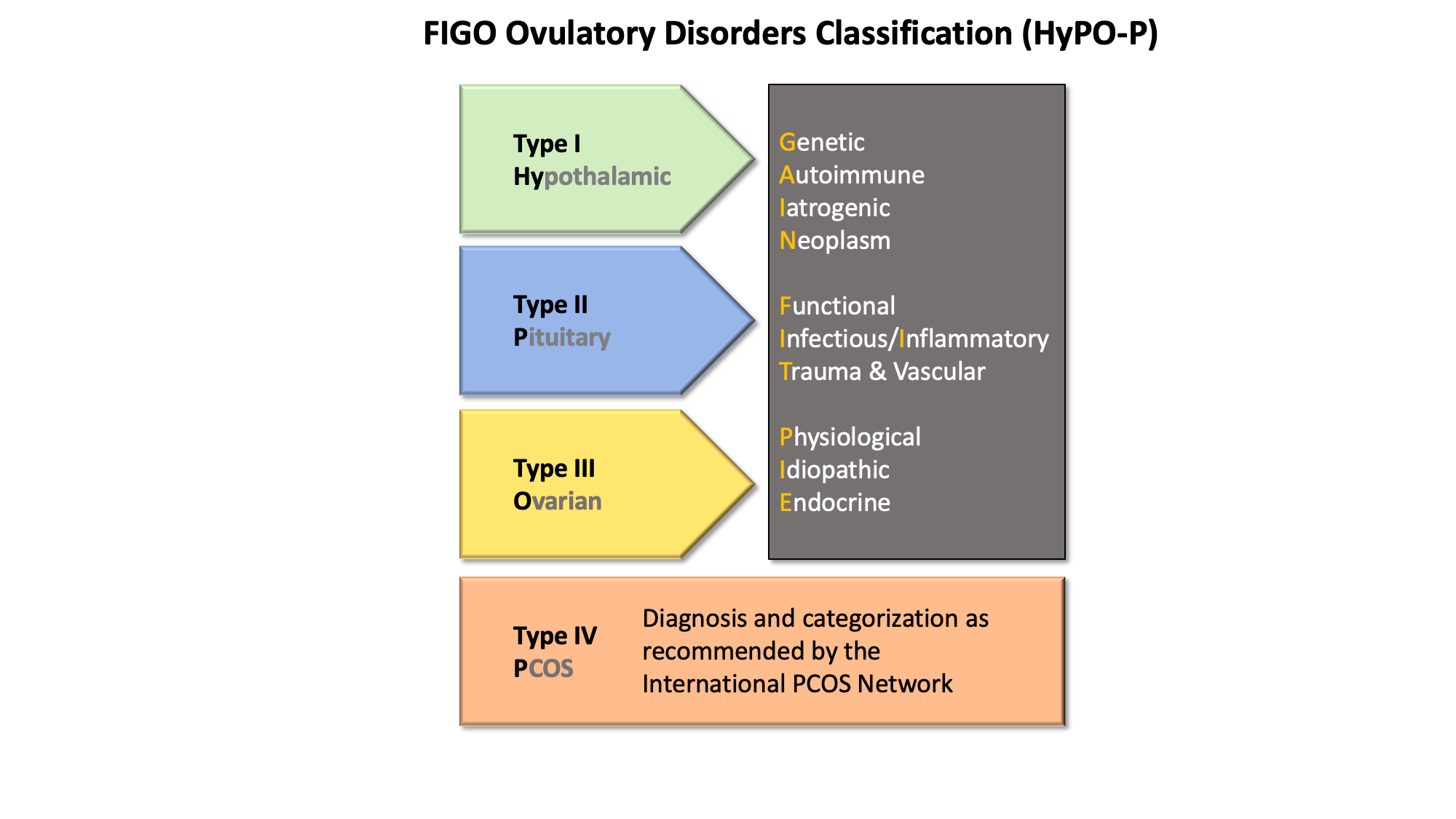 HyPo-P classification