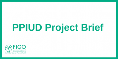 PPIUD Project Brief