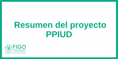  Resumen del proyecto PPIUD