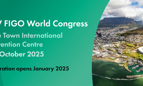 World Congress 2025 banner ad – link to figo2025 dot org